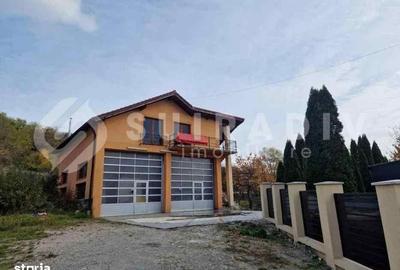 Spațiu comercial, de 150 mp, în Feleacu - 3