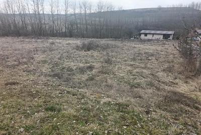 Teren Construcții intravilan de 675 mp, în Teleac - 1