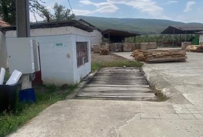 Fabrica de prelucrarea lemnului Valea Buzaului. - 5