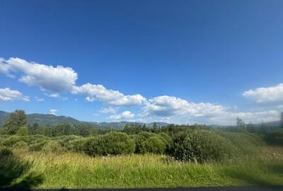 12700 mp investitie rezidentiala- turistica- medicala Tinovul Mic/Șaru Dornei - 4