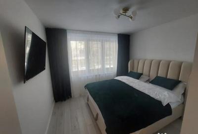 Apartament cu 2 camere decomandat, mobilat în Brazda lui Novac - 1