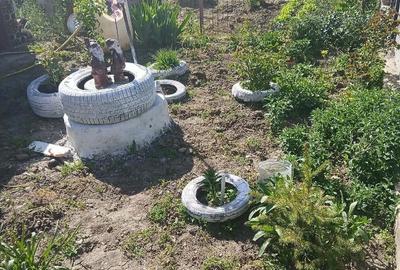 Casă cu Teren 2100 Mp în Tabaci - 5