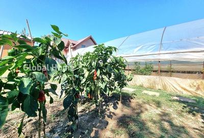 Vila P+1+Teren 1094MP + Gradina + Livada + Garaj | 1 Decembrie - Sos. Giurgiului - 39