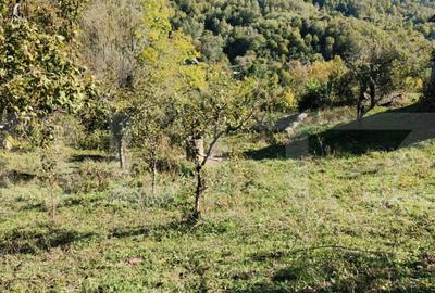 Teren cu priveli?te superba , livada ?i poten?ial casu? - 12