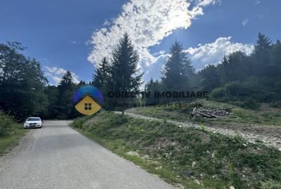 Teren cu o locatie de vis in Pangarati 53 m deschidere la st