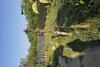 De vanzare casa la tara - 5