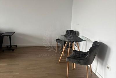 Apartament cu 2 camere decomandat, mobilat în Albert - 7