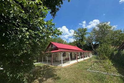 Casa de vacanta Casa de vacanta - 10