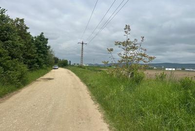 Teren Construcții extravilan de 18500 mp, în Șelimbăr - 4
