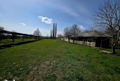 Spațiu comercial, de 400 mp, în Girov - 8