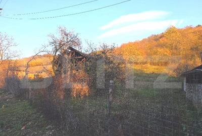 Teren de 3484 mp, în Viforâta