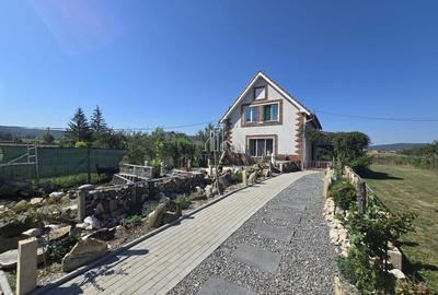 Casa cu piscina, 3450 Mp suprafata teren, Albesti, Mures - 17