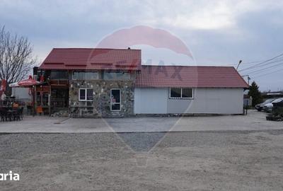 Spațiu comercial, de 150 mp, în Traian - 10