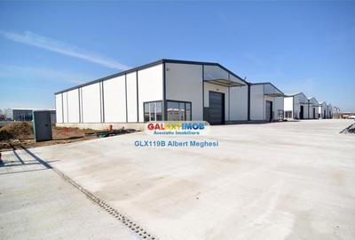 Hala Depozitare 565 mp Afumati - 1