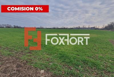 Teren agricol extravilan de 213257 mp, în Sud