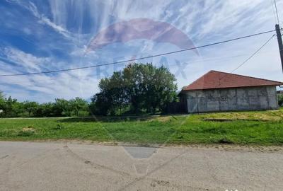 Casă cu 4 camere cu Teren 1440 Mp în Mișca - 2