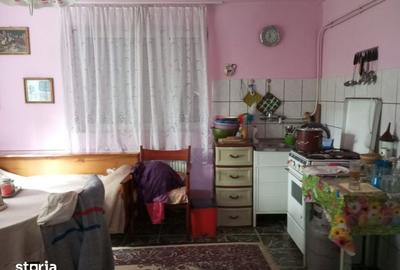 Casă cu 3 camere cu Teren 3320 Mp în Căpușu Mare - 12