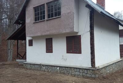 Spațiu comercial, de 700 mp, în Lipănești - 1