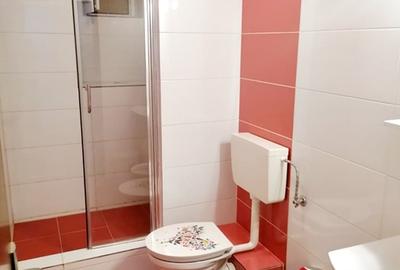 Apartament 2 camere, Inchiriere Termen Lung, Primo - Energia - 10