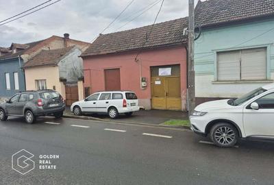 Casa cu 2 corpuri de cladire, Aradul Nou