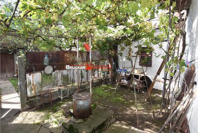 Casă cu 4 camere cu Teren 2066 Mp în Central - 8