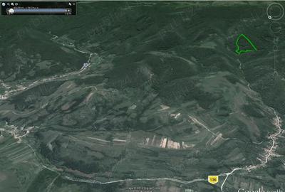Teren de 85000 mp, în Dobra - 3