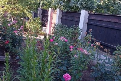 Casă cu 4 camere cu Teren 1490 Mp în Jilavele - 10
