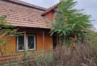 Casă cu Teren 873 Mp în Brestovăț - 3