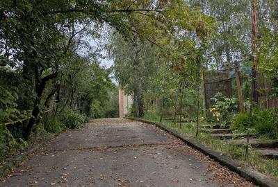 Casă cu 4 camere în Petros - 1