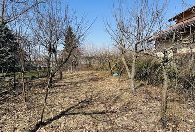 Casă individuală cu 7 camere cu Canalizare în Roșu - 12