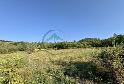 Teren 33290 mp, Lupsa de sus, Oportunitate de investitie - 3