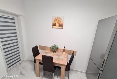 APARTAMENT 2 CAMERE CONTEMPORAN, PACURARI, TOTUL NOU - 9