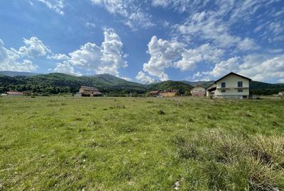 Teren de 1000 mp, în Sâmbăta de Sus - 1