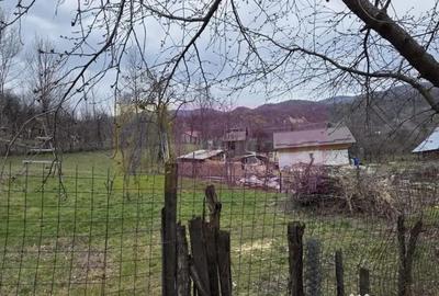 Teren în Lunca Mare - 3