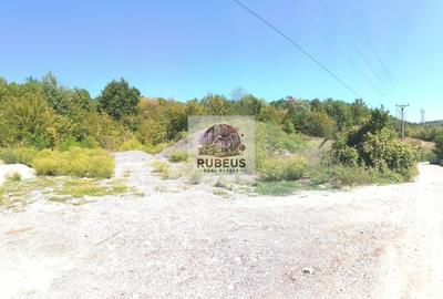 Teren Construcții intravilan de 2580 mp, în Eșelnița - 11