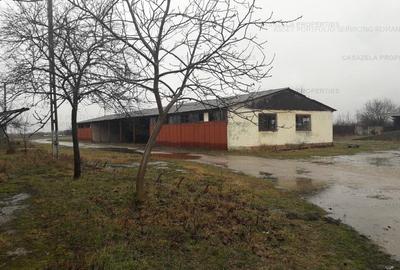 Spațiu comercial, de 6,602 mp, în Cermei - 3