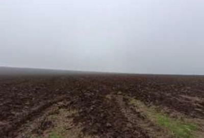 Teren de 15000 mp, în Limanu - 6