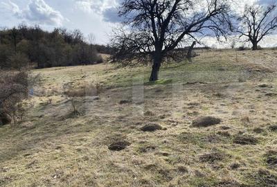 Teren extravilan in suprafata de 7500 mp la poalele Mesesului - 2