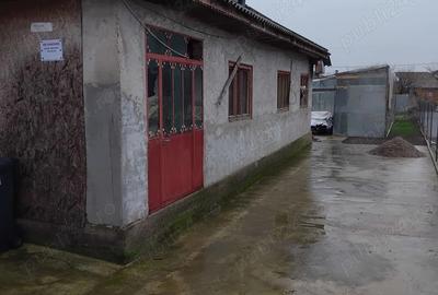 Casa de vanzare in Manasia - 5