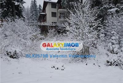 Pensiune Predeal VI 084 - 4