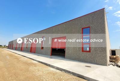 Hale industriale, parc modern, Rudeni, Chitila, Ilfov- ID 15462 Hale industriale, parc modern, Rudeni, Chitila, Ilfov- ID 15462 - 17