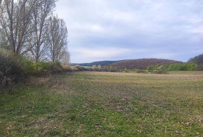 Spațiu comercial, în Socond - 3