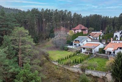 Vila moderna cu vedere spre padure Poiana Angelescu - 5