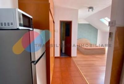 Apartament 1 camera, 40 mp - mansarda, Zorilor, str. Lunii Apartament 1 camera, 40 mp - mansarda, Zorilor, str. Lunii - 7