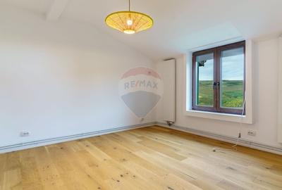 Teren agricol extravilan de 94218 mp, în Livada (Iclod) - 10