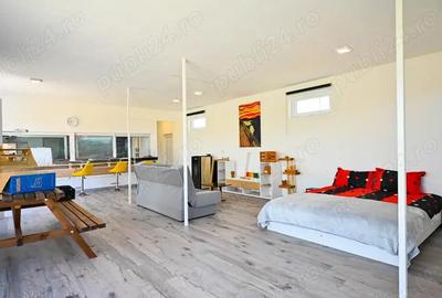 Casa Open Space - Halchiu Satu Nou - Brasov - 1