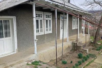 Casă cu Teren 3000 Mp în Moscu - 9