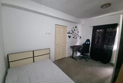 Apartament cu 2 camere semidecomandat în Ozana - 2