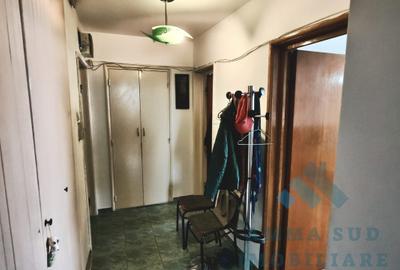 Apartament cu 3 camere semidecomandat, mobilat în Ozana - 4