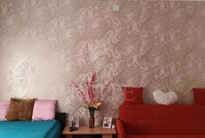 Apartament 2 camere în zona TRAIAN - 4